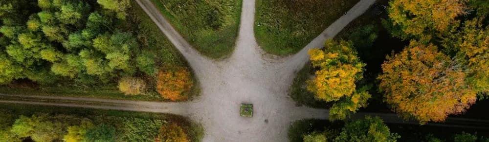 Upskilling vs. Reskilling: Choosing Your Path