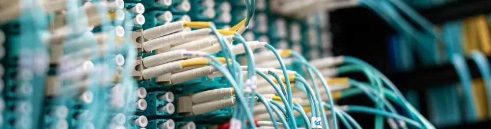 Le networking : il ne s’agit pas de collectionner des contacts