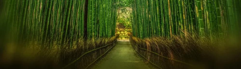Practical Mindfulness Techniques for Tech Professionals