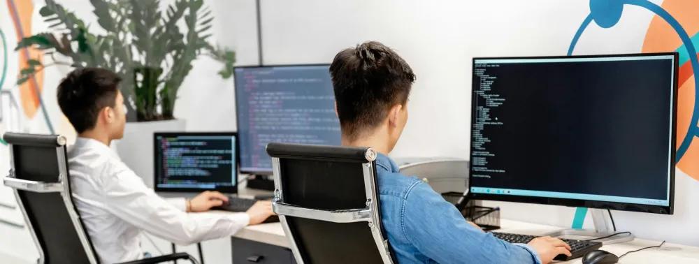 3. Junior Software Developers (Entry-Level Coding Roles)