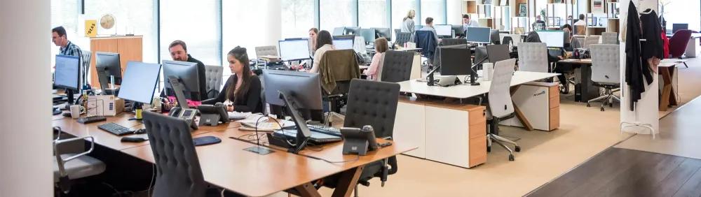 Auswirkungen auf die Organisation