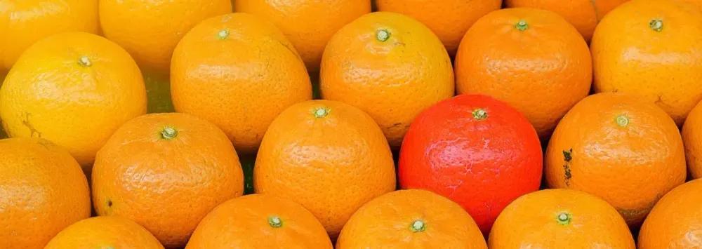 Les compétences qui font ressortir votre CV