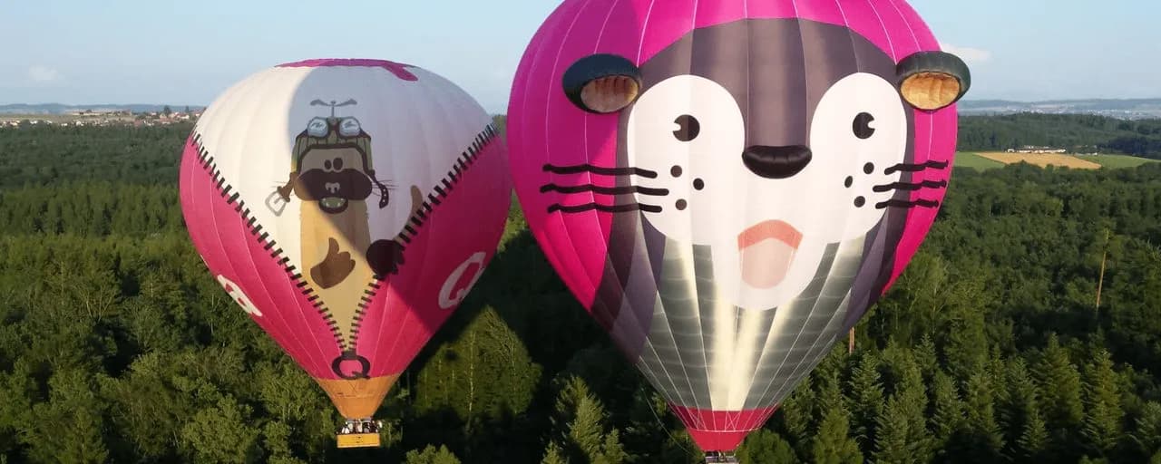 Two QoQa Hot Air Balloons above a forest